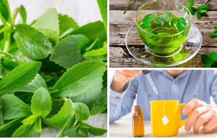 Stevia: 100% natural sweetener with many health benefits