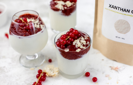 Fitness Recipe: Panna Cotta with Curd & Forest Fruit