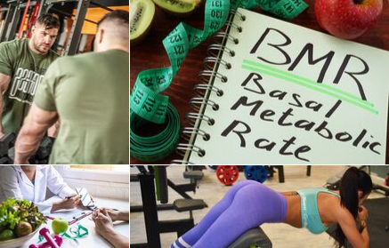 What is basal metabolism and how to calculate BMR?